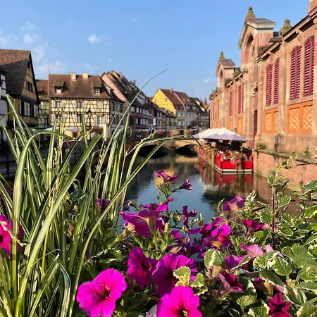Cote Jardin * Colmar