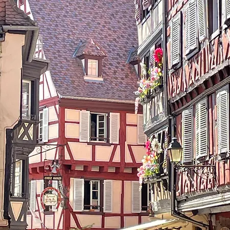 Cote Jardin Apartman Colmar